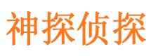 龙岗市私家侦探